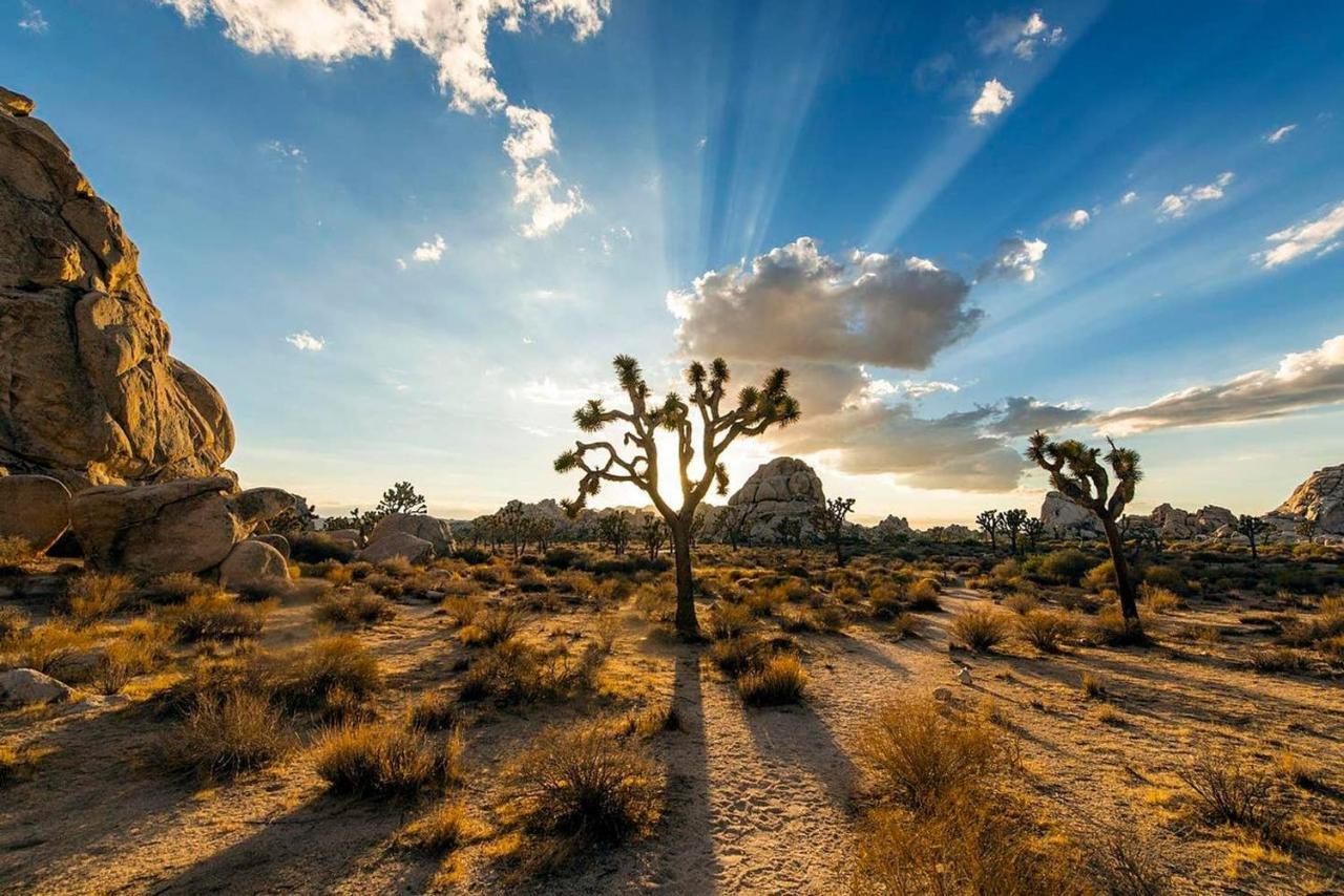 Villa Skyhouse Joshua Tree Exterior foto